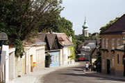Grinzing, L'heurigen "Hauemandl", Le Maître d'hôtel — L’Autriche
