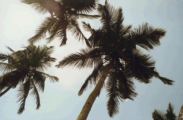 Le Village d'Agoué — Le Bénin