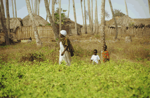 Le Village d'Agoué — Le Bénin