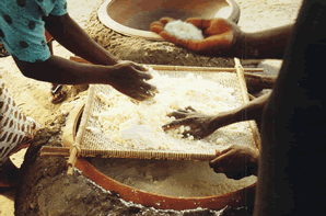 Le Manioc  -  Fabrication du Gari — Le Bénin