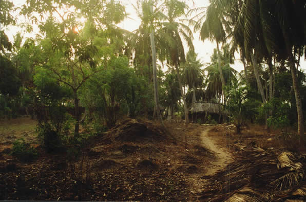 Un petit village émouvant — Le Bénin