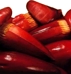 La Bananeraie — Le Bénin