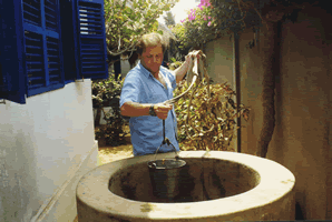 La paillotte de la Villa — Le Bénin