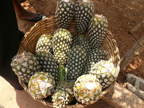 Direction Kpalimé — Bénin et Togo