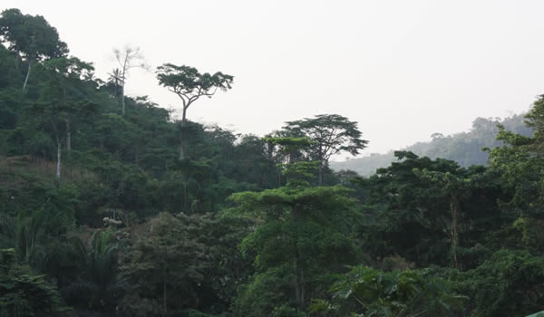Ascension du mont Kloto — Bénin et Togo
