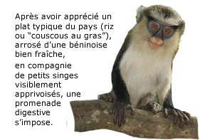 Le jardin des plantes et de la nature — Bénin et Togo