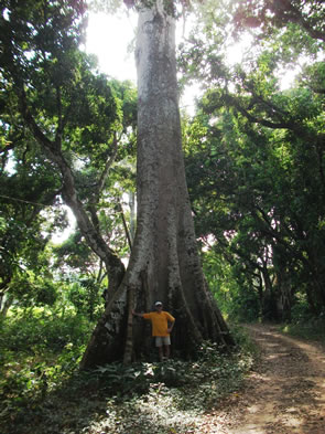 Ascension du mont Kloto — Bénin et Togo