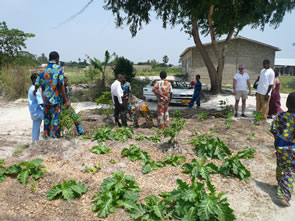 Fiers de nous montrer leur jardin ... — Bénin et Togo