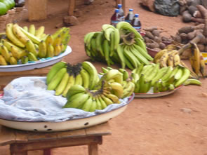 Retour à Agbodrafo — Bénin et Togo