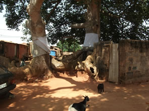 Togoville — Bénin et Togo