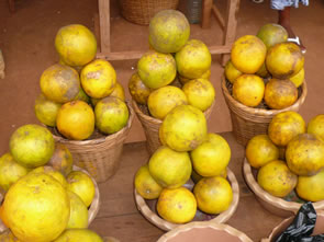 Retour à Agbodrafo — Bénin et Togo
