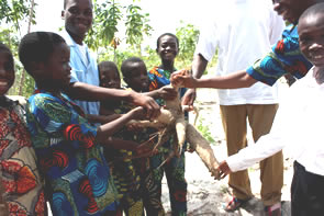 Fiers de nous montrer leur jardin ... — Bénin et Togo