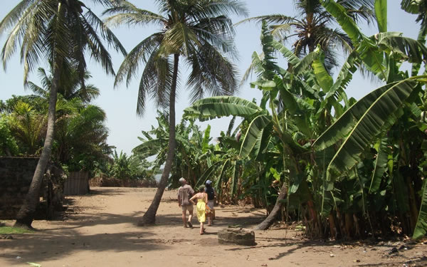 A cache-cache dans les bananiers — Bénin et Togo