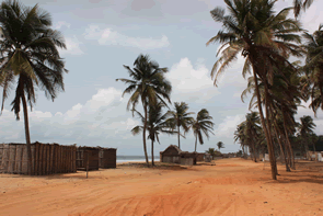 La route des pêches ... — Bénin et Togo