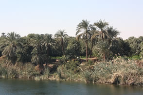 Sur le Nil — L’Égypte