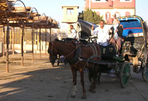 Le Temple d'Edfou — L’Égypte