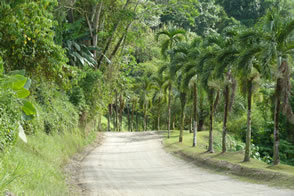 Distillerie des rhums JM. — La Martinique