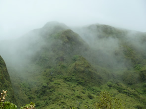 Randonnée sur la Montagne pelée — La Martinique