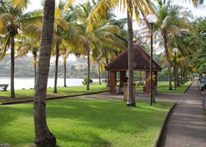 Destination : La Trinité en longeant la côte Est — La Martinique
