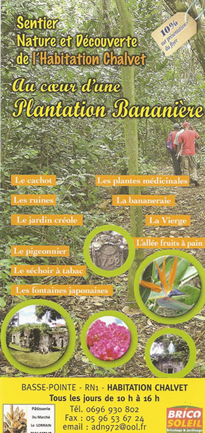 Un sentier Nature et découverte au coeur d'une Plantation Bananière — La Martinique