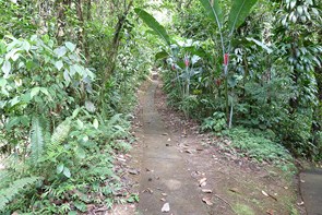 Le Domaine d'émeraude ... Un havre de paix ... — La Martinique