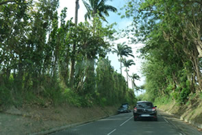 Randonnée sur la Montagne pelée — La Martinique