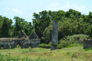 Le hangar à bananes — La Martinique