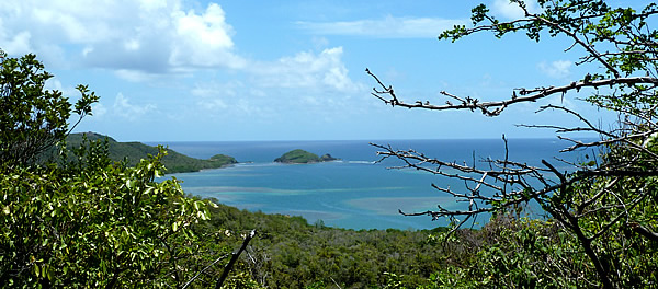 La presqu'île de la Caravelle - Tartane — La Martinique