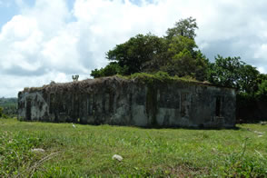 Le hangar à bananes — La Martinique