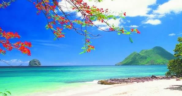 "Madinina", l'île aux fleurs — La Martinique