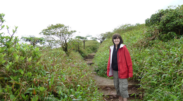 Randonnée sur la Montagne pelée — La Martinique