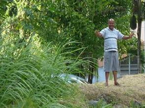 Grand-Rivière, "le Bout du Bout" — La Martinique