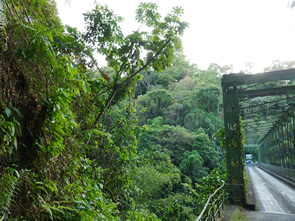 En quittant Macouba — La Martinique