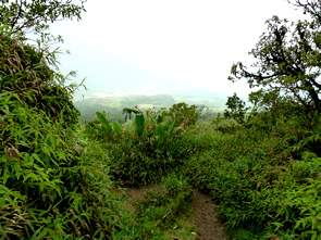 Randonnée sur la Montagne pelée — La Martinique