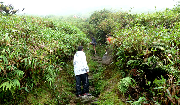 Randonnée sur la Montagne pelée — La Martinique