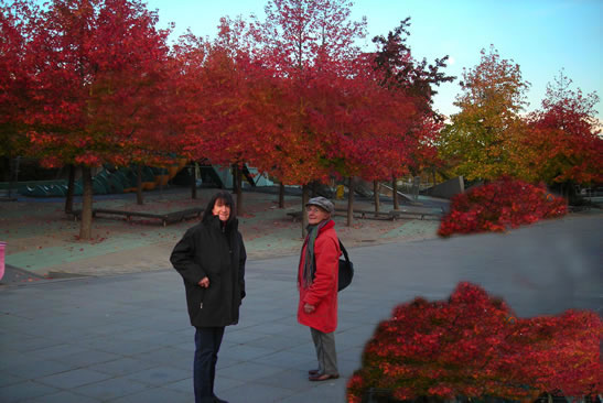 Arrivée à Montréal - 23 Octobre  - 14:30 — Le Québec