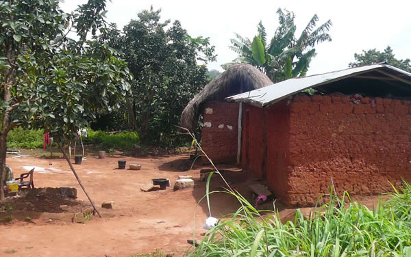 Sur la route de Danyi-Apéyémé — Rencontres africaines