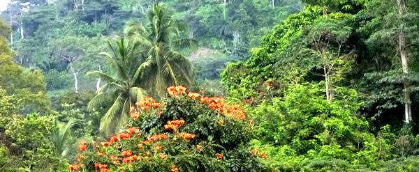 Sur la route ... — Rencontres africaines
