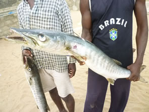 Retour de pêche — Rencontres africaines