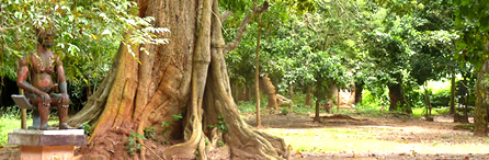 La forêt sacrée — Rencontres africaines