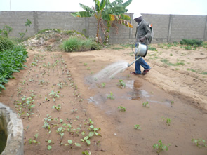 Les astuces de Maurice — Sourires d’Afrique