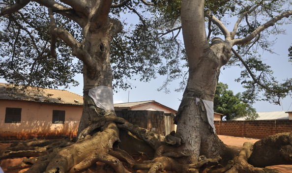 Le Culte des Jumeaux — Sur un air du Togo