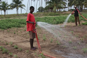 Sur la route de Cotonou — Le Togo