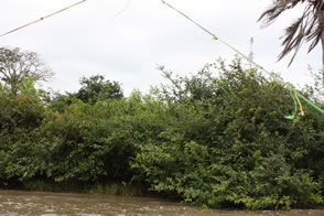 En pirogue pour Togoville — Le Togo