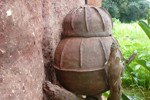 "Koutammakou" le pays des Batammariba — Le Togo