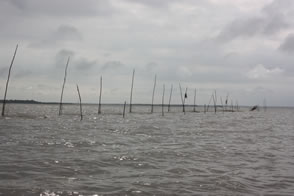 En pirogue pour Togoville — Le Togo
