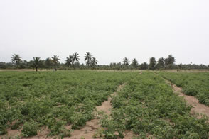 Sur la route de Cotonou — Le Togo