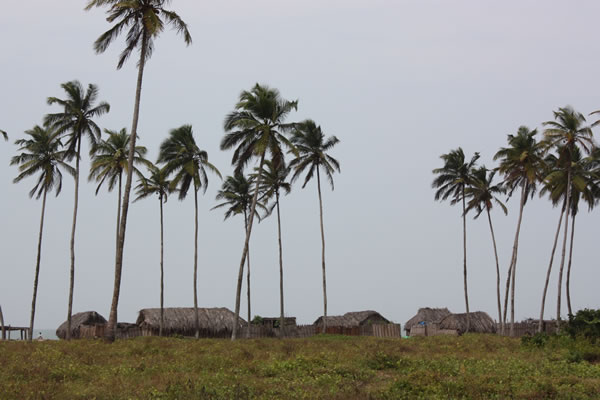 Sur la route de Cotonou — Le Togo