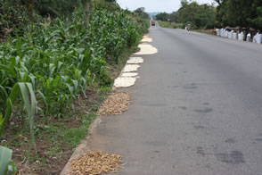 De Lomé à Atakpamé — Le Togo
