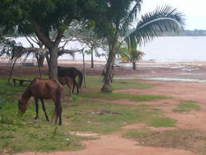 Par les rues de Togoville — Le Togo